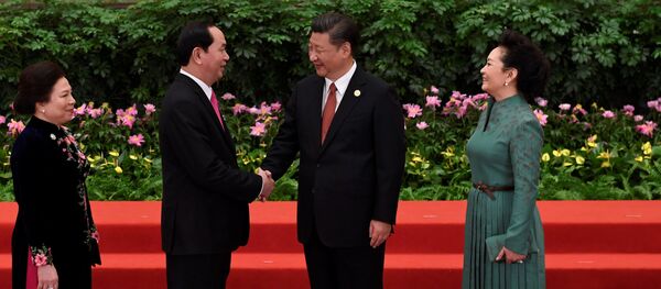 Chủ tịch Trần Đại Quang và Chủ tịch Tập Cận Bình - Sputnik Việt Nam