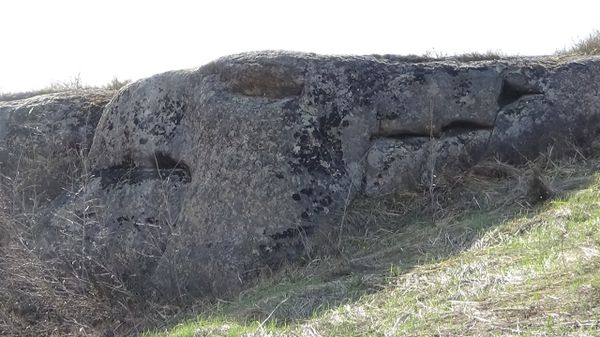 Các nhà nghiên cứu cố gắng làm sáng tỏ bí mật của Con rồng và Quái thú bí ẩn ở Siberia - Sputnik Việt Nam