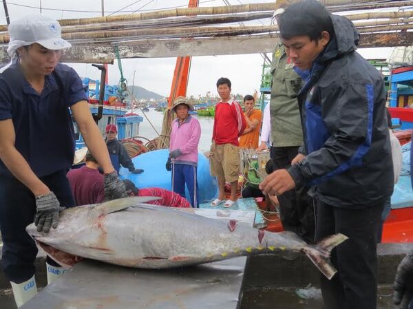 Hoan hô cá ngừ Việt Nam có mặt tại gần 140 nước trên thế giới - Sputnik Việt Nam