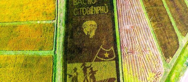 Hình ảnh Bác Hồ với Chiến thắng Điện Biên Phủ được tái hiện độc đáo trên quê lúa Yên Thành - Sputnik Việt Nam