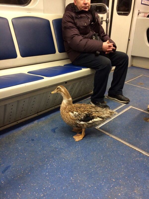 Ảnh 6 - Sputnik Việt Nam