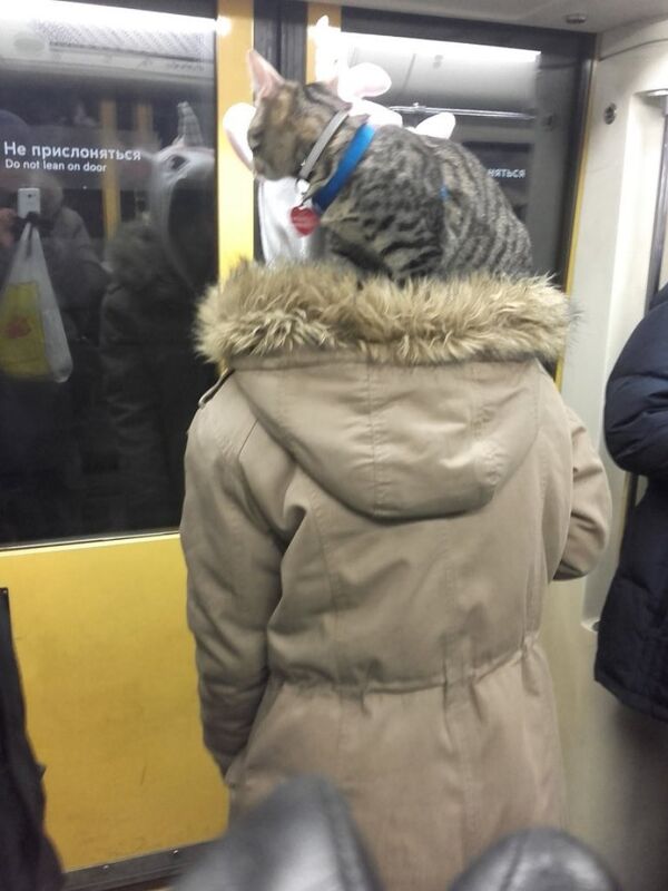 Ảnh 8 - Sputnik Việt Nam