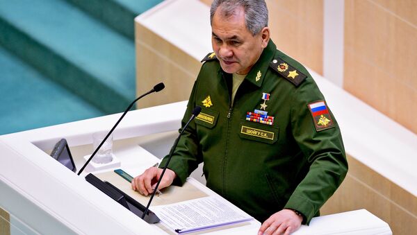 Sergey Shoigu - Sputnik Việt Nam