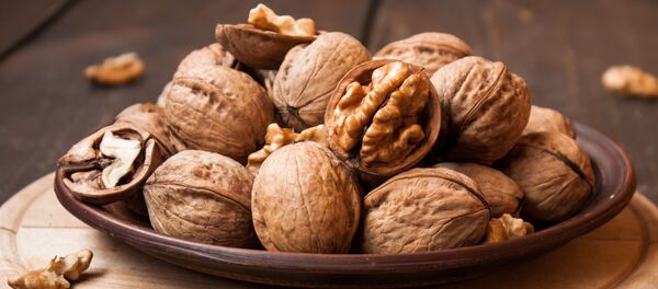 Hạt - Sputnik Việt Nam