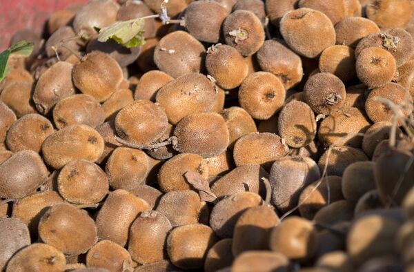 Ăn vào và sẽ nổi hứng: 20 loại thực phẩm bổ ích nhất cho quan hệ tình dục - Sputnik Việt Nam