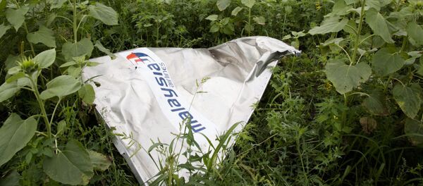 Tai nạn máy bay Boeing ở Ukraina - Sputnik Việt Nam