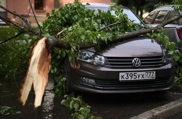 Hậu quả trận bão tàn phá ở Matxcơva  - Sputnik Việt Nam