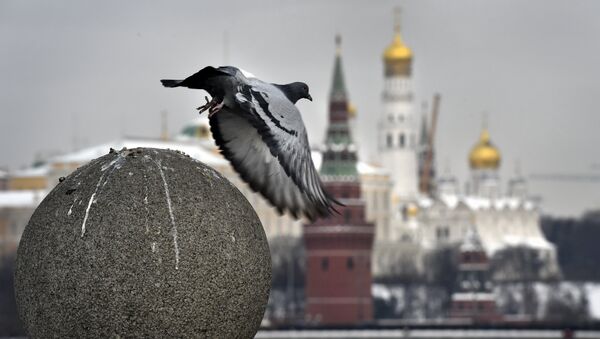 Kremlin - Sputnik Việt Nam