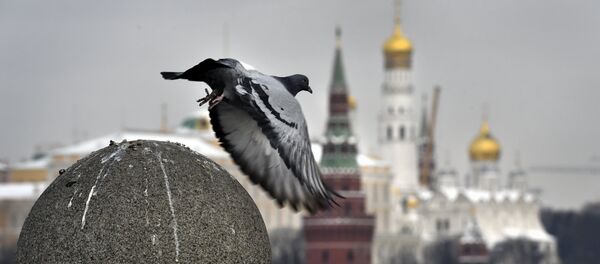 Kremlin - Sputnik Việt Nam