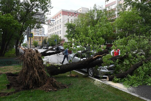 29 tháng Năm. Matxcơva. Hậu quả của cơn bão tràn qua các khu vực trung tâm Nga. - Sputnik Việt Nam