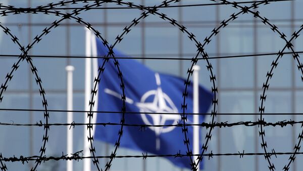 NATO - Sputnik Việt Nam