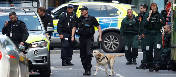 Bác sĩ người Nga có mặt tại hiện trường kể về vụ khủng bố ở London Bác sĩ người Nga có mặt tại hiện trường kể về vụ khủng bố ở London - Sputnik Việt Nam