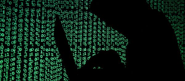 Hacker Nga - Sputnik Việt Nam