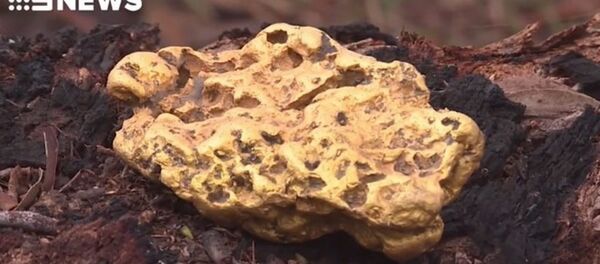 Người đàn ông Úc vớ bẫm vì đào được cục vàng 4,3kg - Sputnik Việt Nam