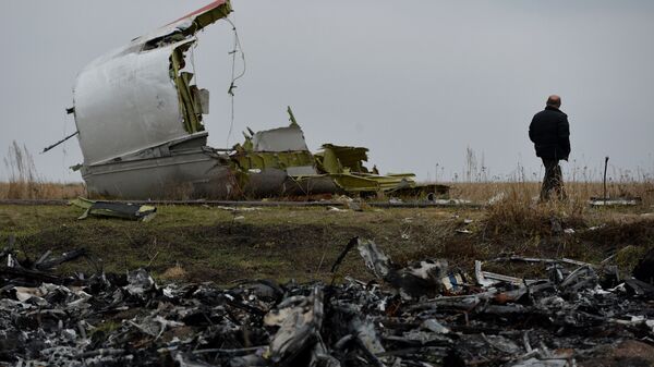  thảm họa MH17 - Sputnik Việt Nam