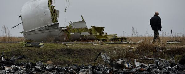 Мужчина у обломков на месте крушения малайзийского самолета Boeing на востоке Украины - Sputnik Việt Nam