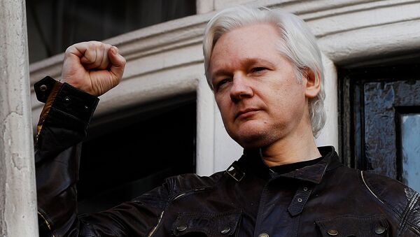 Julian Assange - Sputnik Việt Nam