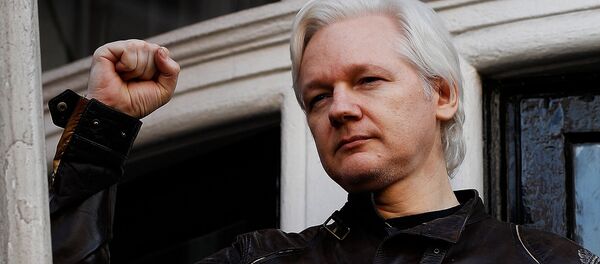 Julian Assange - Sputnik Việt Nam