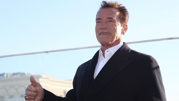 Nam diễn viên nổi tiếng Hollywood Arnold Schwarzenegger - Sputnik Việt Nam