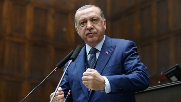 Tayyip Erdogan - Sputnik Việt Nam