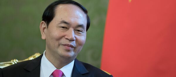 Cuộc hội đàm giữa hai nhà lãnh đạo Vladimir Putin và Trần Đại Quang trong điện Kremlin - Sputnik Việt Nam