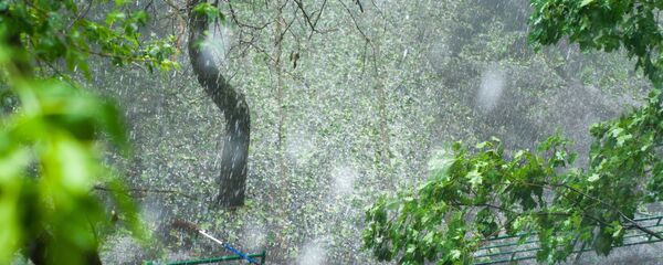 Mưa bão mạnh trút xuống Moskva - Sputnik Việt Nam