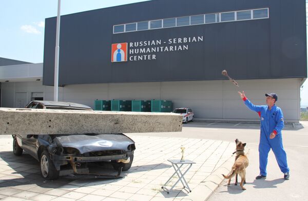 Chú chó Alpa Chú chó Alpa - Sputnik Việt Nam