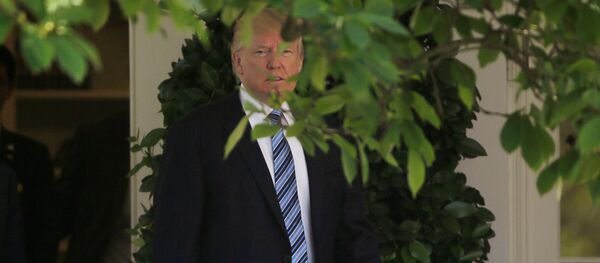 Президент США Дональд Трамп в Белом доме - Sputnik Việt Nam