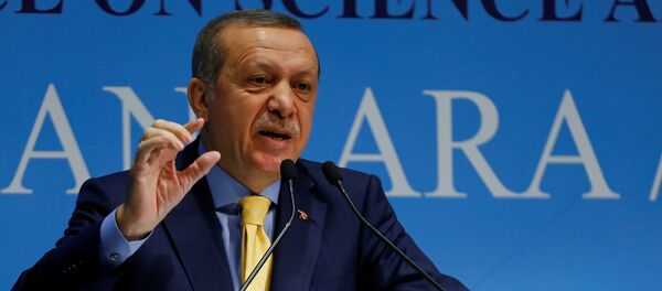 Tayyip Erdogan - Sputnik Việt Nam