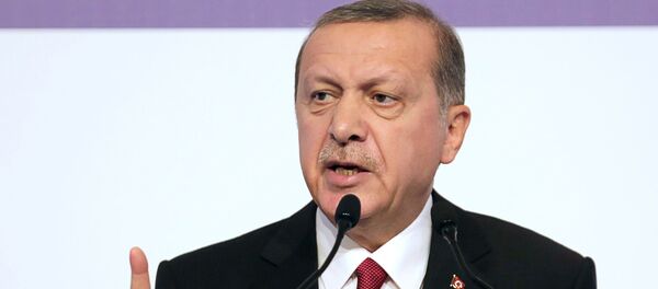 Recep Tayyip Erdogan - Sputnik Việt Nam