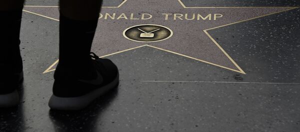 Tên Tổng thống Mỹ Donald Trump trên đại lộ ngôi sao Hollywood - Sputnik Việt Nam