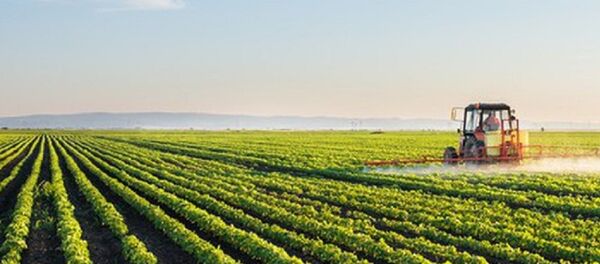 nông nghiệp - Sputnik Việt Nam