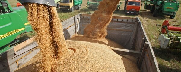 Ngũ cốc Ngũ cốc - Sputnik Việt Nam