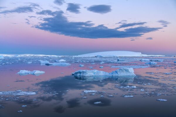 Biển Weddell bên bờ Antarctic - Sputnik Việt Nam