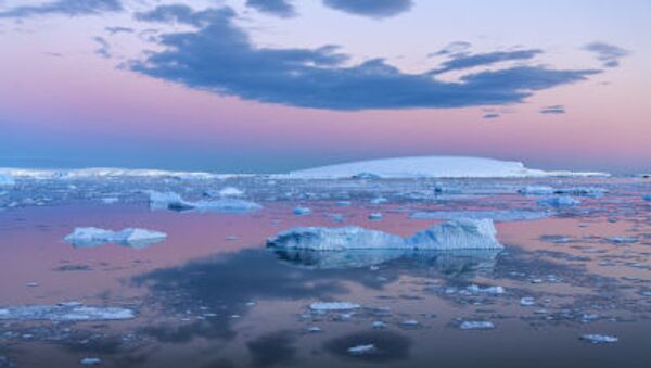 Biển Weddell bên bờ Antarctic - Sputnik Việt Nam