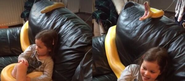 Con trăn dài12 mét cùng xem TV với bé gái: video đã trở thành hit phổ biến Con trăn dài12 mét cùng xem TV với bé gái: video đã trở thành hit phổ biến - Sputnik Việt Nam