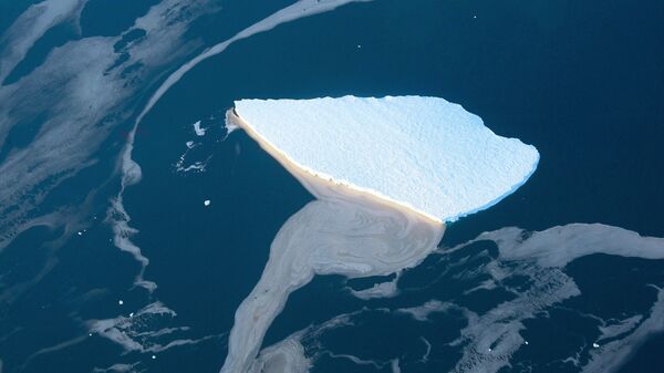 Tảng băng ở Biển Lazarev trên bờ biển Nam Cực - Sputnik Việt Nam