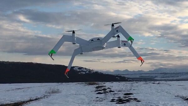 BAS JURIC - Sputnik Việt Nam