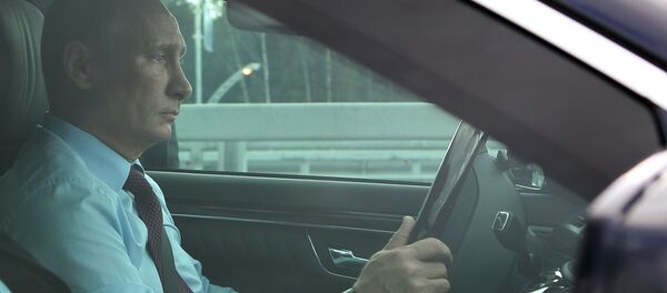 Tổng thống Nga Vladimir Putin - Sputnik Việt Nam