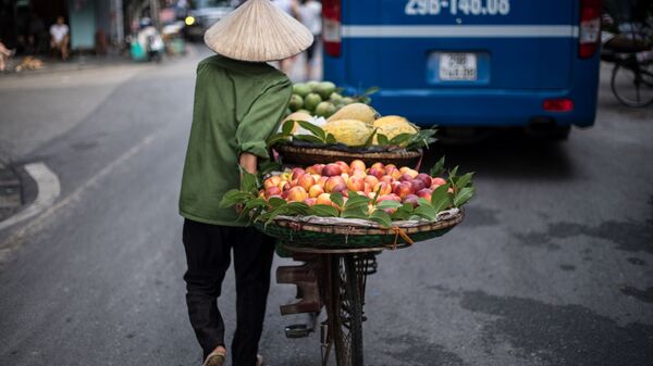 Người bán trái cây, Hà Nội, Việt Nam - Sputnik Việt Nam