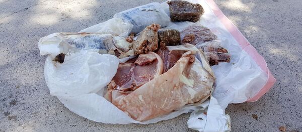 Замороженная свинина, упавшая на жилой дом в городе Дирфилд-Бич, США Замороженная свинина, упавшая на жилой дом в городе Дирфилд-Бич, США - Sputnik Việt Nam