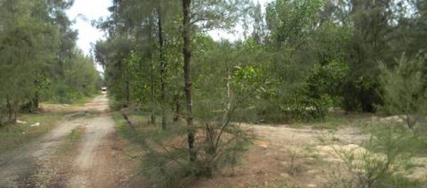 Ba khu đất gần 10.000m2 sát biển của các ông Tân, Hoàng, Hiệu đã được bà Vân mua. Ba khu đất gần 10.000m2 sát biển của các ông Tân, Hoàng, Hiệu đã được bà Vân mua. - Sputnik Việt Nam