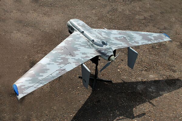 Bộ giám sát từ xa Eleron-10SV Bộ giám sát từ xa Eleron-10SV - Sputnik Việt Nam