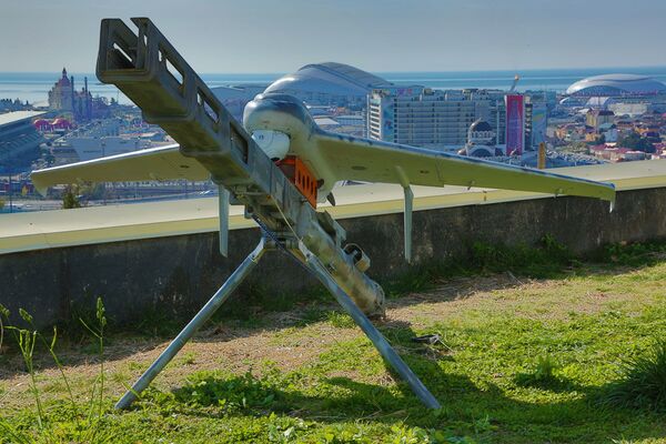 Bộ giám sát từ xa Eleron-10SV Bộ giám sát từ xa Eleron-10SV - Sputnik Việt Nam