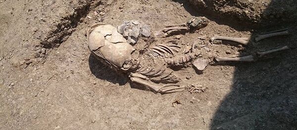 Tìm thấy mộ của người ngoài hành tinh trong cuộc khai quật ở Crưm - Sputnik Việt Nam