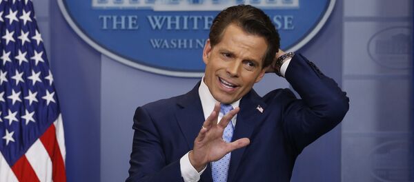 Anthony Scaramucci - Sputnik Việt Nam