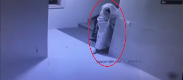 Trộm giả làm ma để tàng hình trước hệ thống an ninh - Sputnik Việt Nam