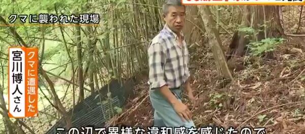 Người đàn ông trung niên Nhật Bản dùng võ karate vật lộn thoát khỏi gấu tấn công Người đàn ông trung niên Nhật Bản dùng võ karate vật lộn thoát khỏi gấu tấn công - Sputnik Việt Nam