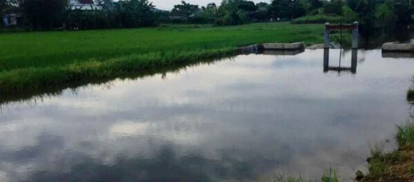 Đập nước nơi hai anh em họ chết đuối Đập nước nơi hai anh em họ chết đuối - Sputnik Việt Nam