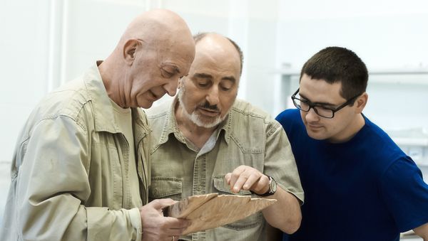 Các nhà khoa học Nga tìm thấy dấu vết nóng lên toàn cầu trong cây tuyết tùng Tây Tạng Các nhà khoa học Nga tìm thấy dấu vết nóng lên toàn cầu trong cây tuyết tùng Tây Tạng - Sputnik Việt Nam